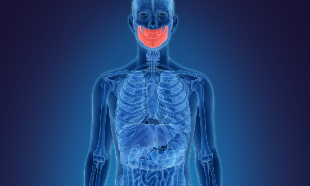 Illustration of a human figure with the teeth highlighted